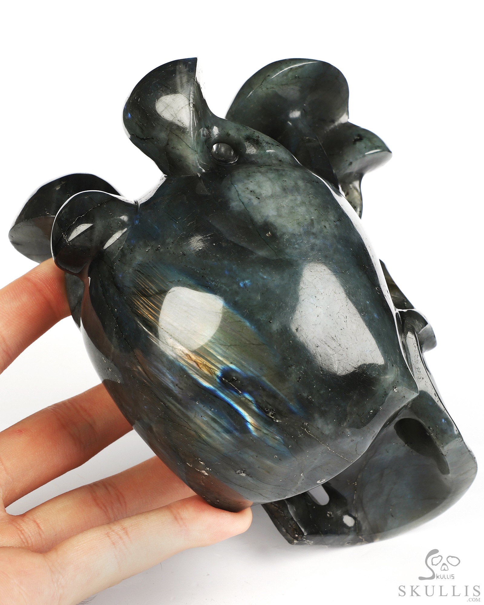 5.1" Labradorite Hand Carved Mushroom Crystal Skull Sculpture, Crystal Healing 5.1" Labradorite Hand Carved Mushroom Crystal Skull Sculpture, Crystal Healing