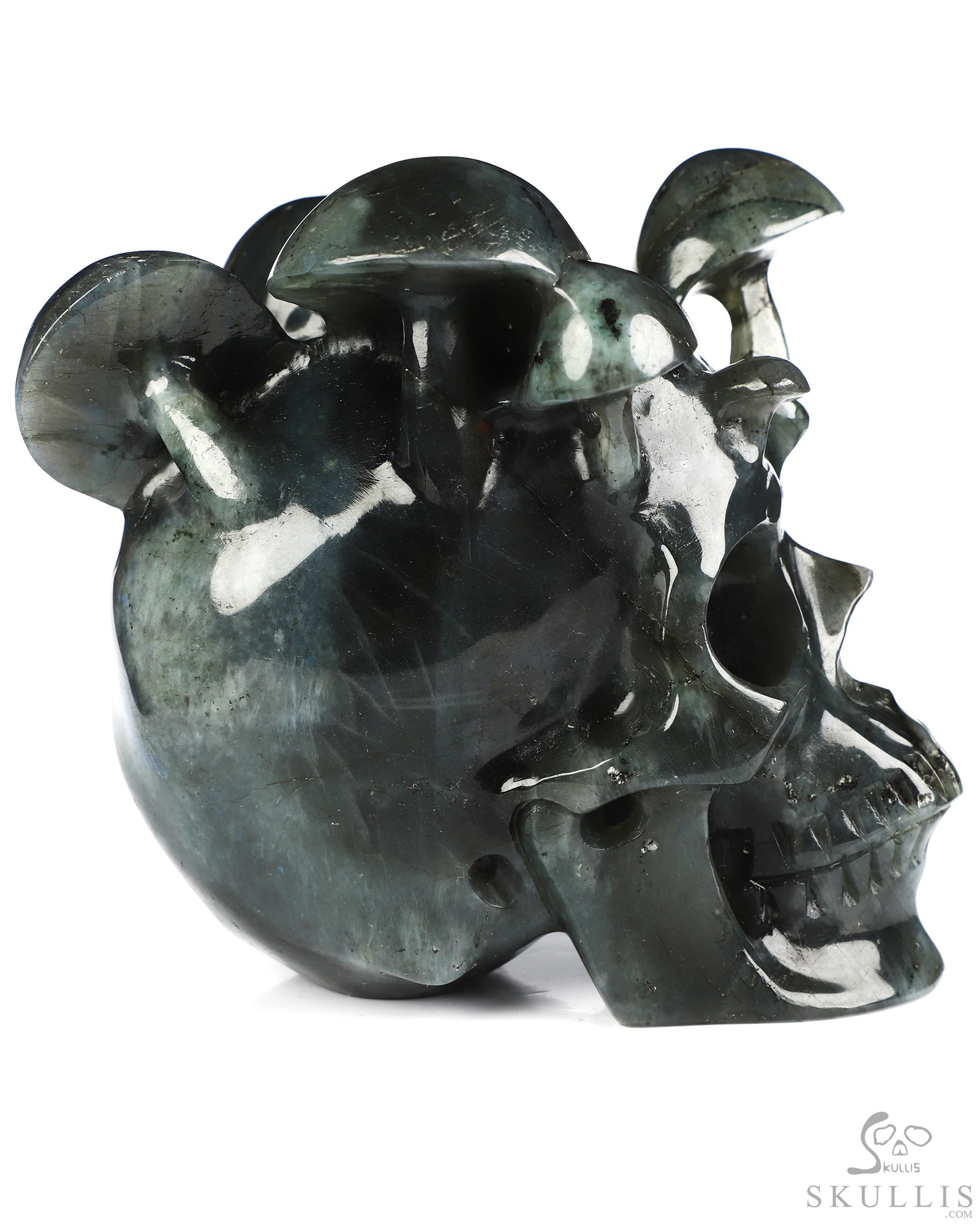 5.1" Labradorite Hand Carved Mushroom Crystal Skull Sculpture, Crystal Healing 5.1" Labradorite Hand Carved Mushroom Crystal Skull Sculpture, Crystal Healing