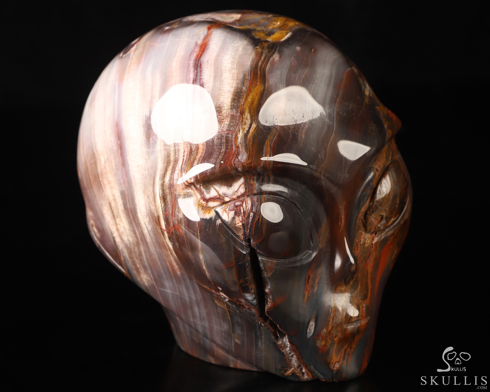 4.1" Petrified Wood Star Being Female Alien Crystal Skull Companion, Hand Carved Gemstone Fine Art Sculpture, Reiki Healing Stone Statue 4.1" Petrified Wood Star Being Female Alien Crystal Skull Companion, Hand Carved Gemstone Fine Art Sculpture, Reiki Healing Stone Statue