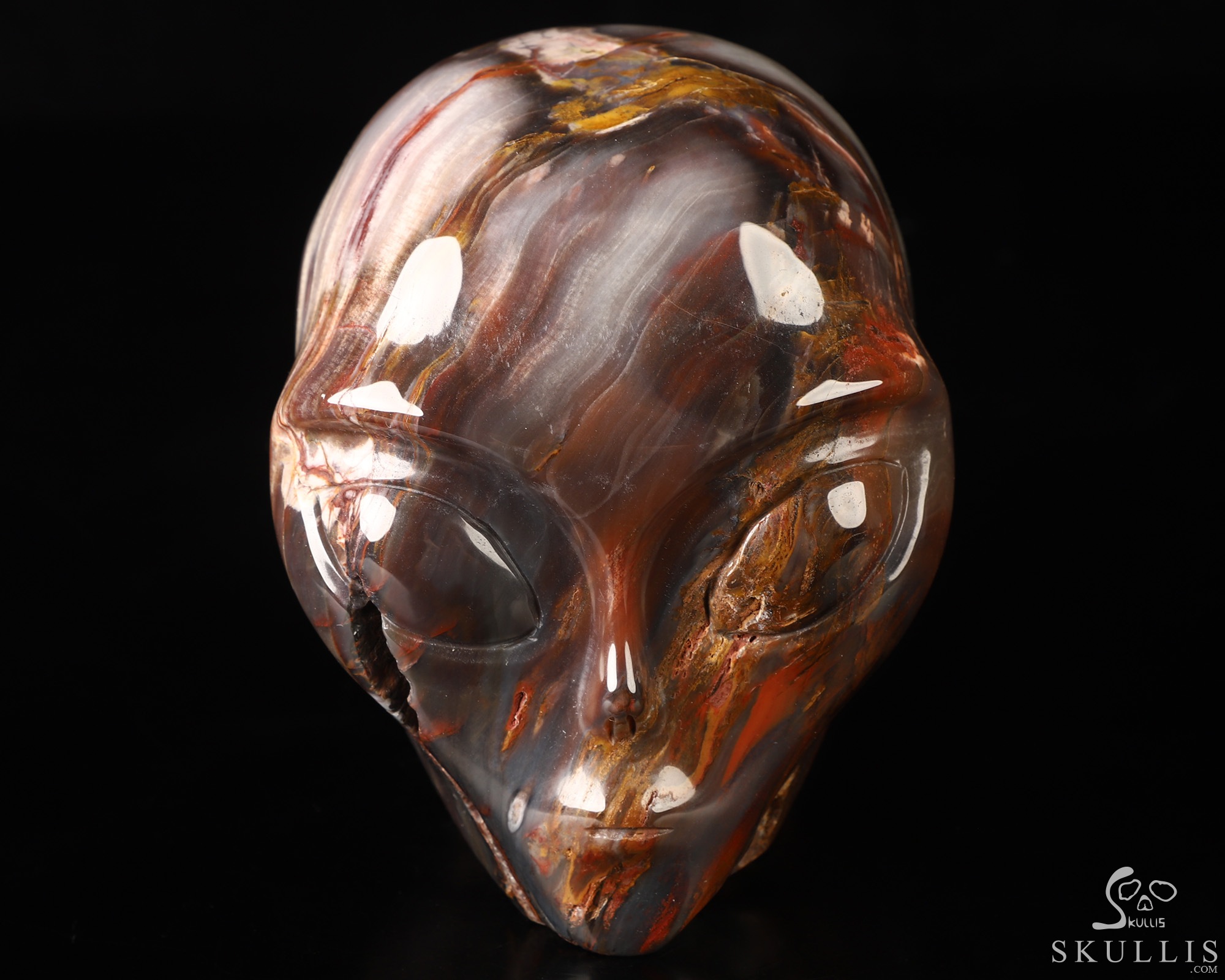 4.1" Petrified Wood Star Being Female Alien Crystal Skull Companion, Hand Carved Gemstone Fine Art Sculpture, Reiki Healing Stone Statue 4.1" Petrified Wood Star Being Female Alien Crystal Skull Companion, Hand Carved Gemstone Fine Art Sculpture, Reiki Healing Stone Statue