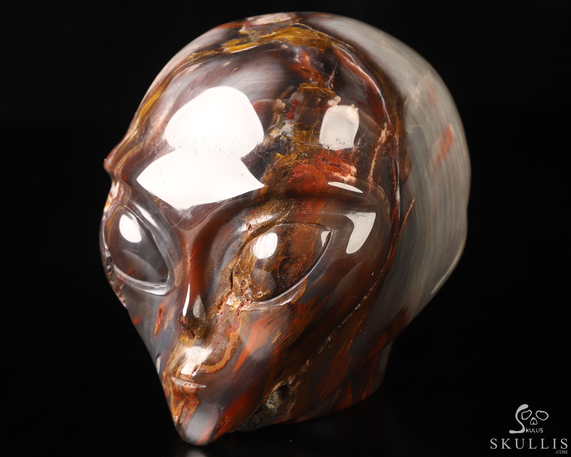 4.1" Petrified Wood Star Being Female Alien Crystal Skull Companion, Hand Carved Gemstone Fine Art Sculpture, Reiki Healing Stone Statue 4.1" Petrified Wood Star Being Female Alien Crystal Skull Companion, Hand Carved Gemstone Fine Art Sculpture, Reiki Healing Stone Statue