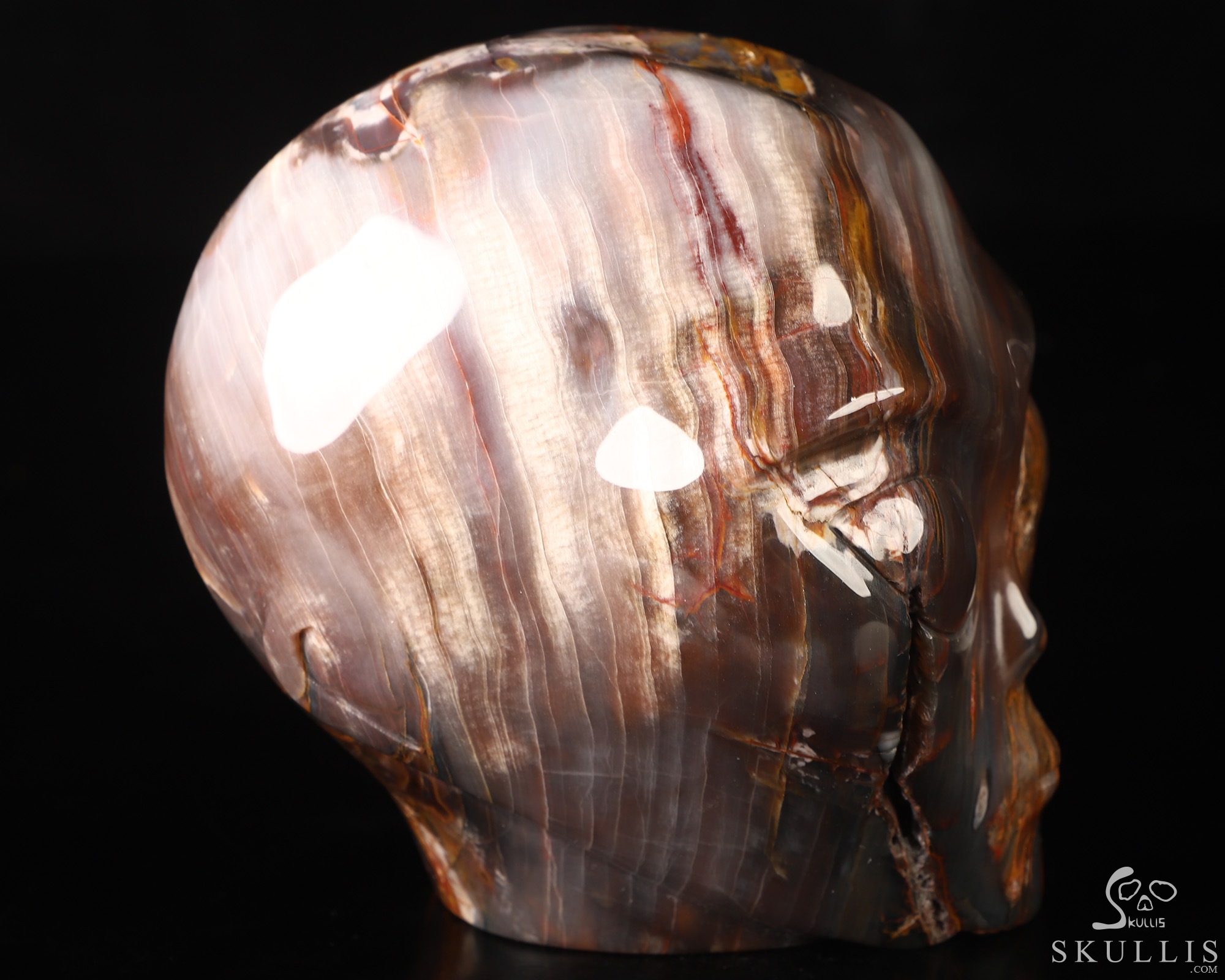 4.1" Petrified Wood Star Being Female Alien Crystal Skull Companion, Hand Carved Gemstone Fine Art Sculpture, Reiki Healing Stone Statue 4.1" Petrified Wood Star Being Female Alien Crystal Skull Companion, Hand Carved Gemstone Fine Art Sculpture, Reiki Healing Stone Statue