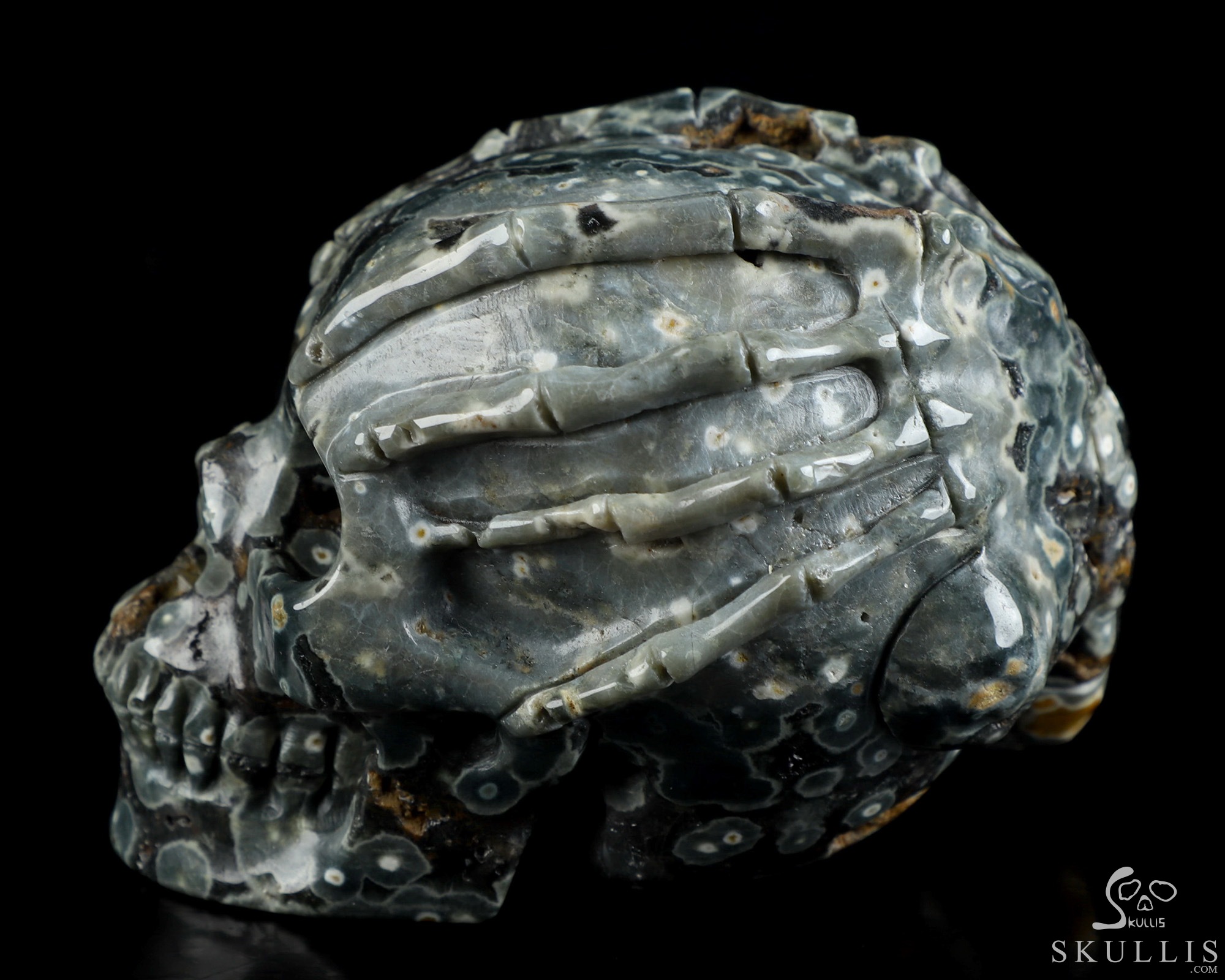 3.9" Ocean Jasper Hand Carved Crystal Skull and Facehugger Sculpture, Crystal Healing 3.9" Ocean Jasper Hand Carved Crystal Skull and Facehugger Sculpture, Crystal Healing