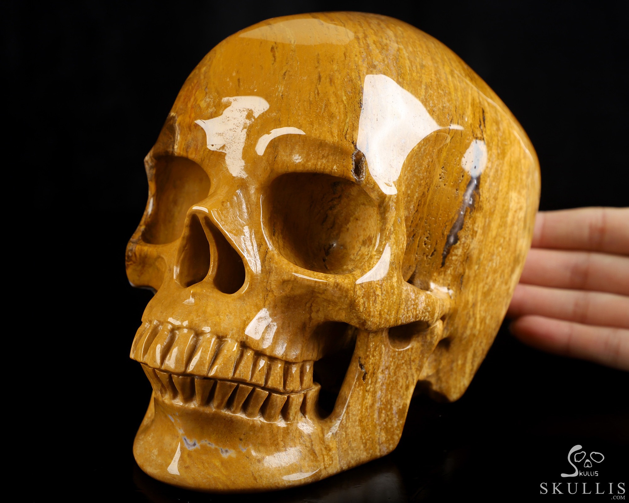 Lifesized 6.9" Indian Agate Hand Carved Crystal Skull, Super Realistic, Crystal Healing Lifesized 6.9" Indian Agate Hand Carved Crystal Skull, Super Realistic, Crystal Healing