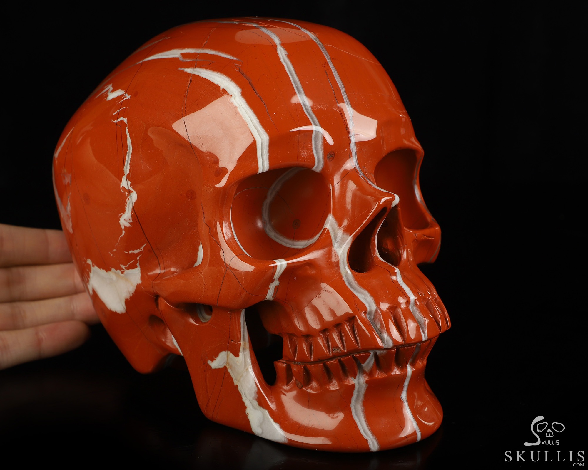 Lifesized 6.8" Red Jasper Hand Carved Crystal Skull, Super Realistic, Crystal Healing Lifesized 6.8" Red Jasper Hand Carved Crystal Skull, Super Realistic, Crystal Healing