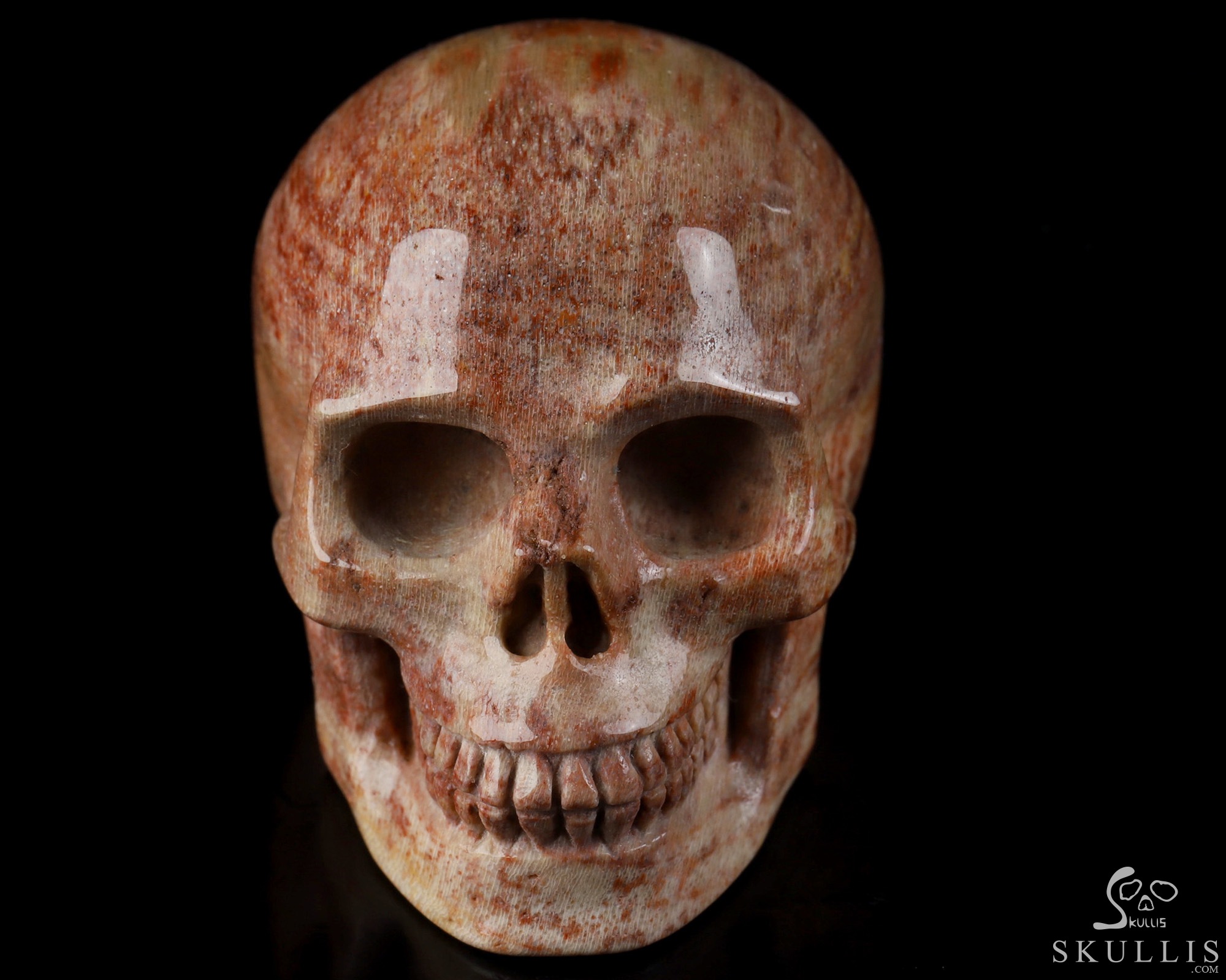 2.0" Petrified Wood Hand Carved Crystal Skull, Realistic, Crystal Healing 2.0" Petrified Wood Hand Carved Crystal Skull, Realistic, Crystal Healing