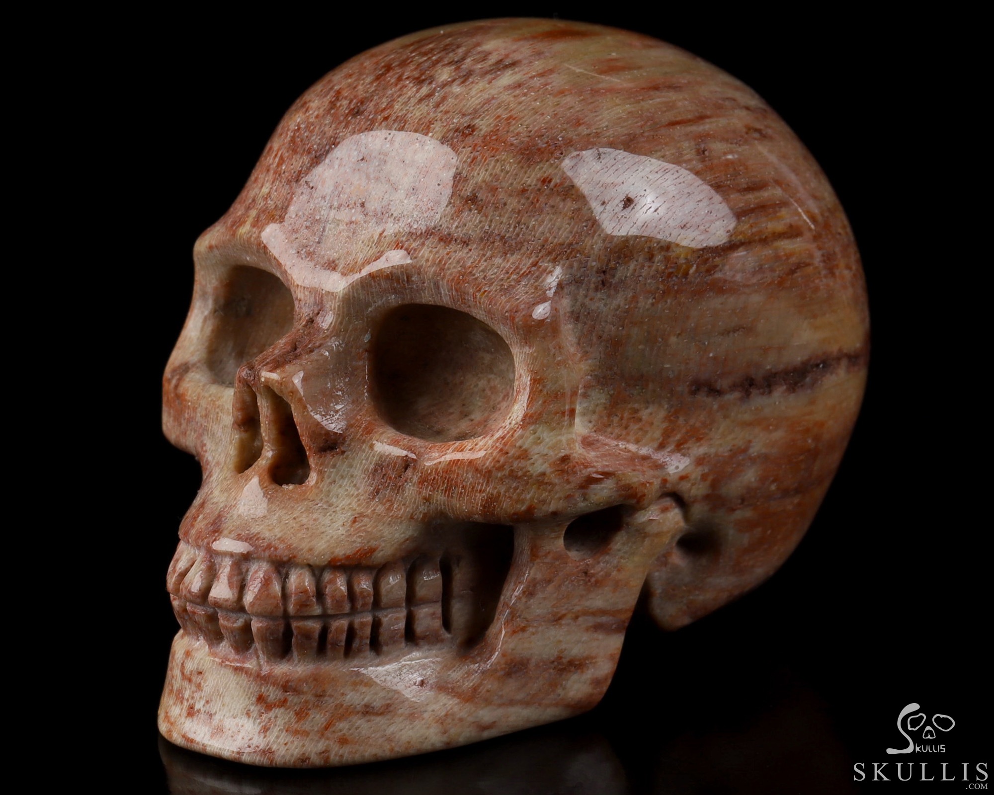 2.0" Petrified Wood Hand Carved Crystal Skull, Realistic, Crystal Healing 2.0" Petrified Wood Hand Carved Crystal Skull, Realistic, Crystal Healing