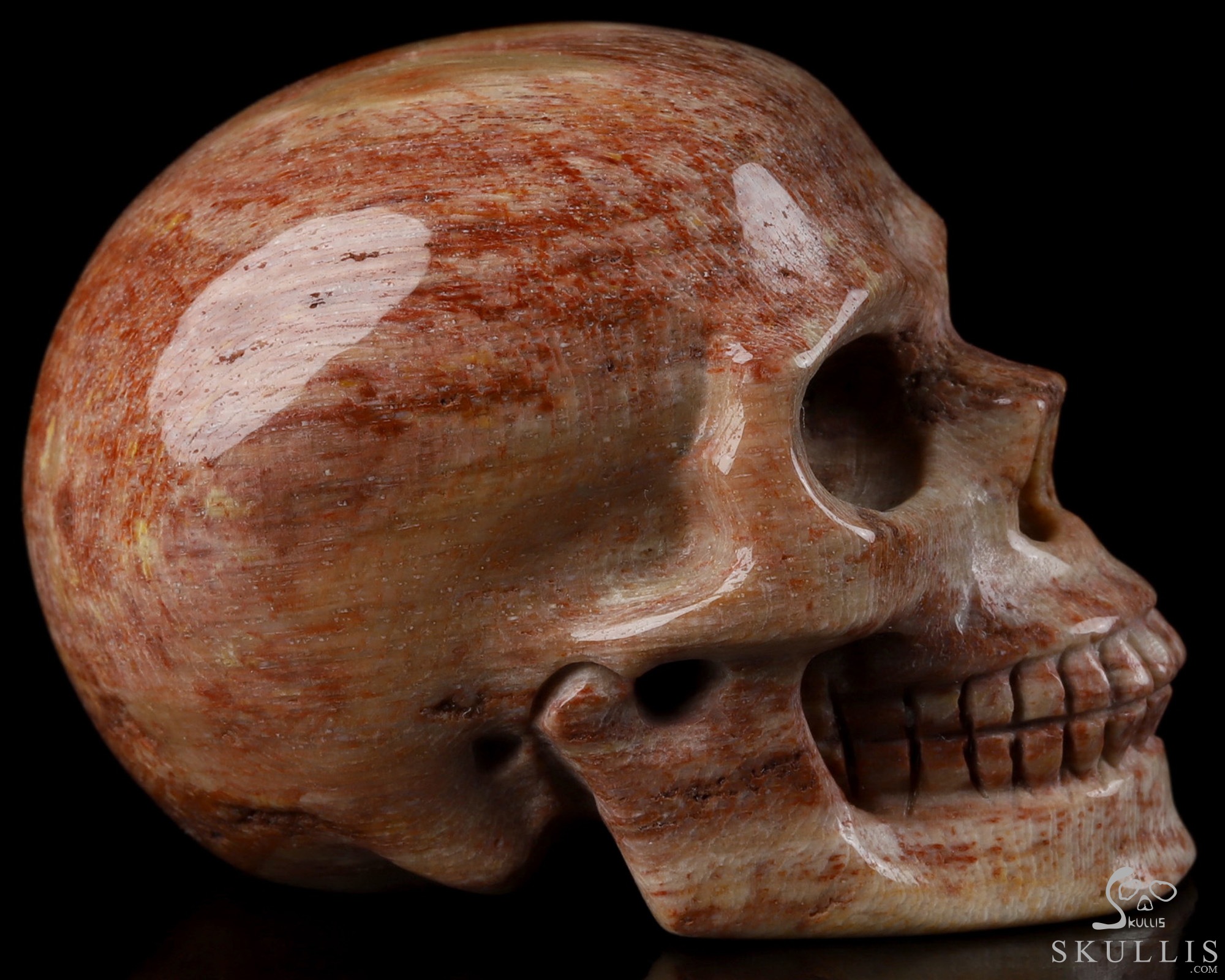 2.0" Petrified Wood Hand Carved Crystal Skull, Realistic, Crystal Healing 2.0" Petrified Wood Hand Carved Crystal Skull, Realistic, Crystal Healing