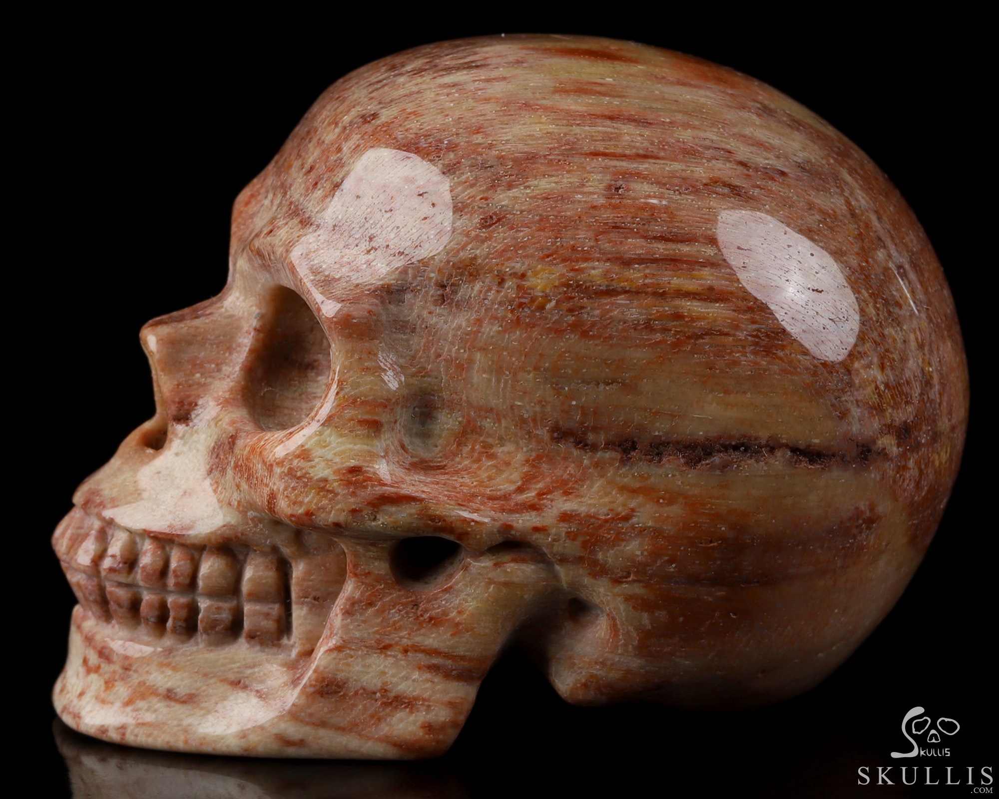 2.0" Petrified Wood Hand Carved Crystal Skull, Realistic, Crystal Healing 2.0" Petrified Wood Hand Carved Crystal Skull, Realistic, Crystal Healing