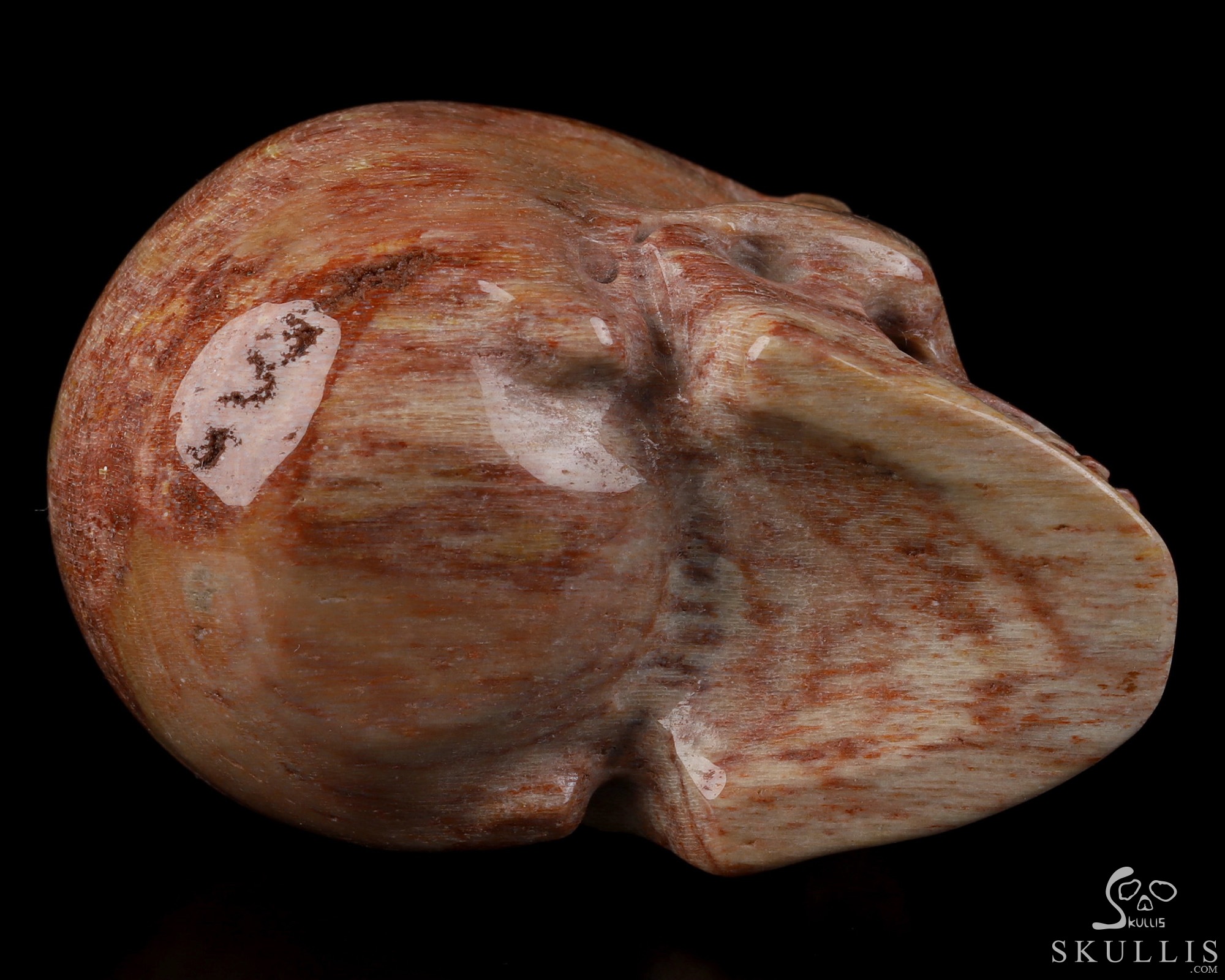 2.0" Petrified Wood Hand Carved Crystal Skull, Realistic, Crystal Healing 2.0" Petrified Wood Hand Carved Crystal Skull, Realistic, Crystal Healing