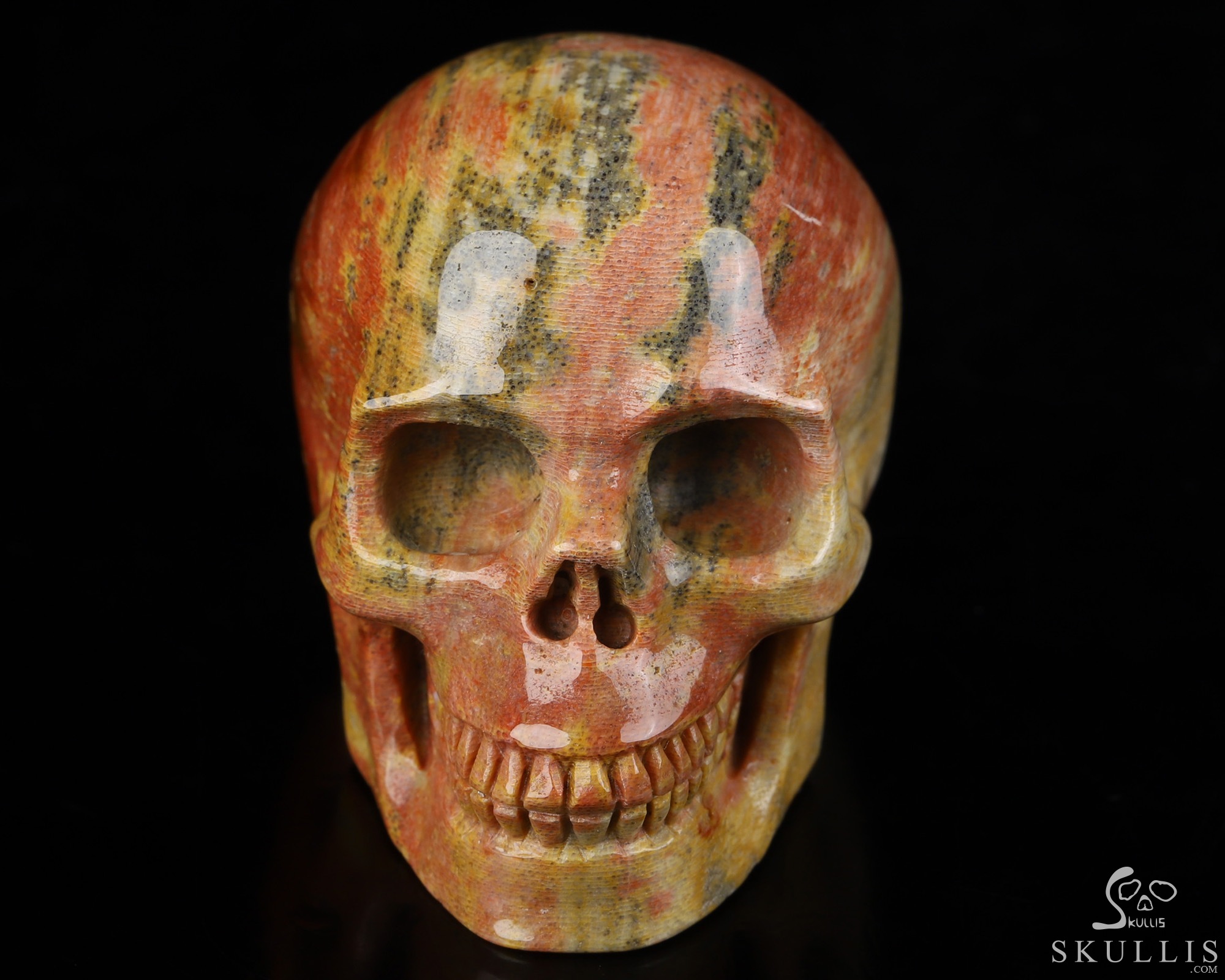 2.0" Petrified Wood Hand Carved Crystal Skull, Realistic, Crystal Healing 2.0" Petrified Wood Hand Carved Crystal Skull, Realistic, Crystal Healing