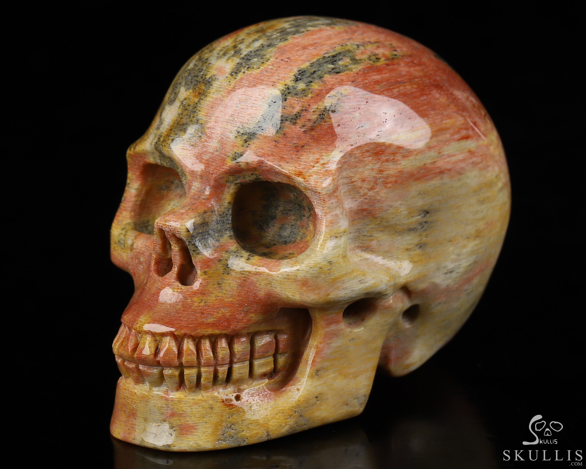 2.0" Petrified Wood Hand Carved Crystal Skull, Realistic, Crystal Healing 2.0" Petrified Wood Hand Carved Crystal Skull, Realistic, Crystal Healing