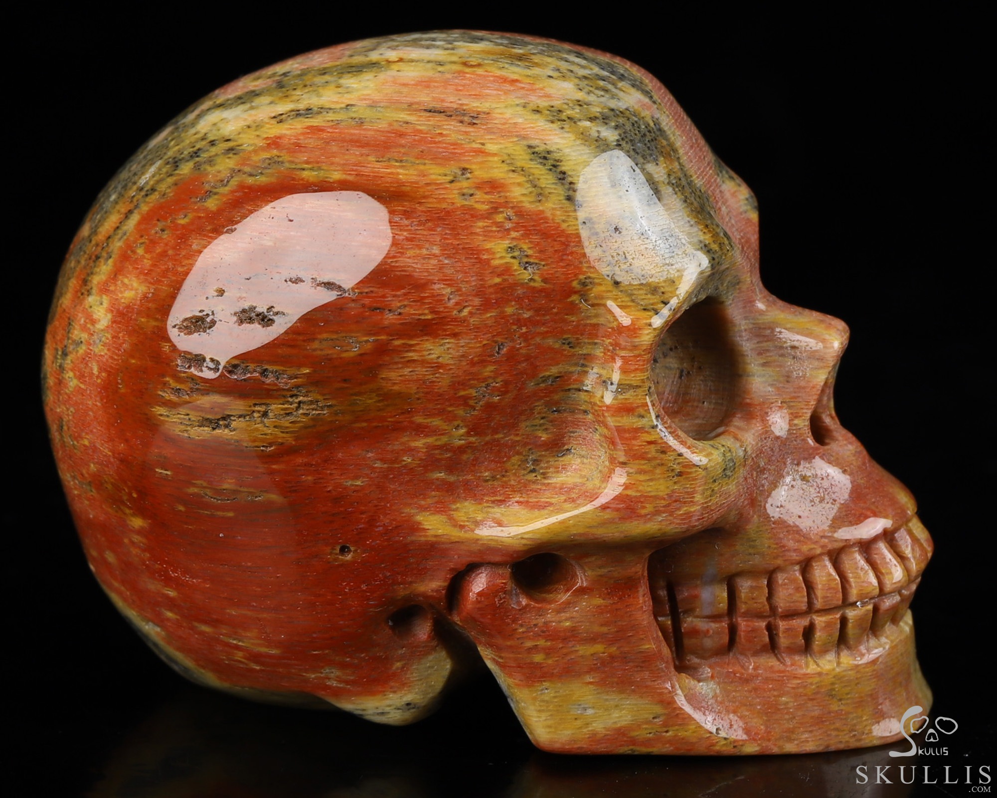 2.0" Petrified Wood Hand Carved Crystal Skull, Realistic, Crystal Healing 2.0" Petrified Wood Hand Carved Crystal Skull, Realistic, Crystal Healing