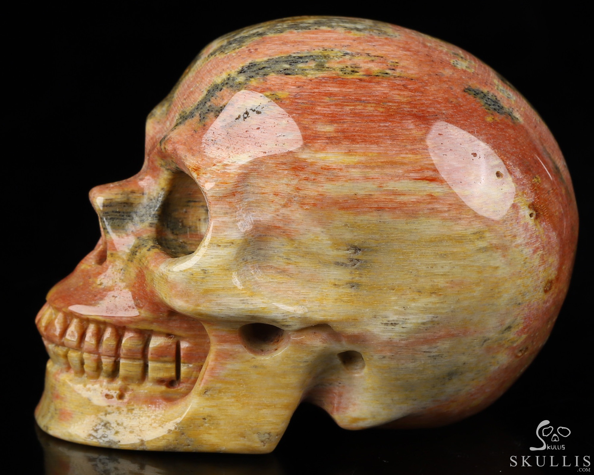 2.0" Petrified Wood Hand Carved Crystal Skull, Realistic, Crystal Healing 2.0" Petrified Wood Hand Carved Crystal Skull, Realistic, Crystal Healing