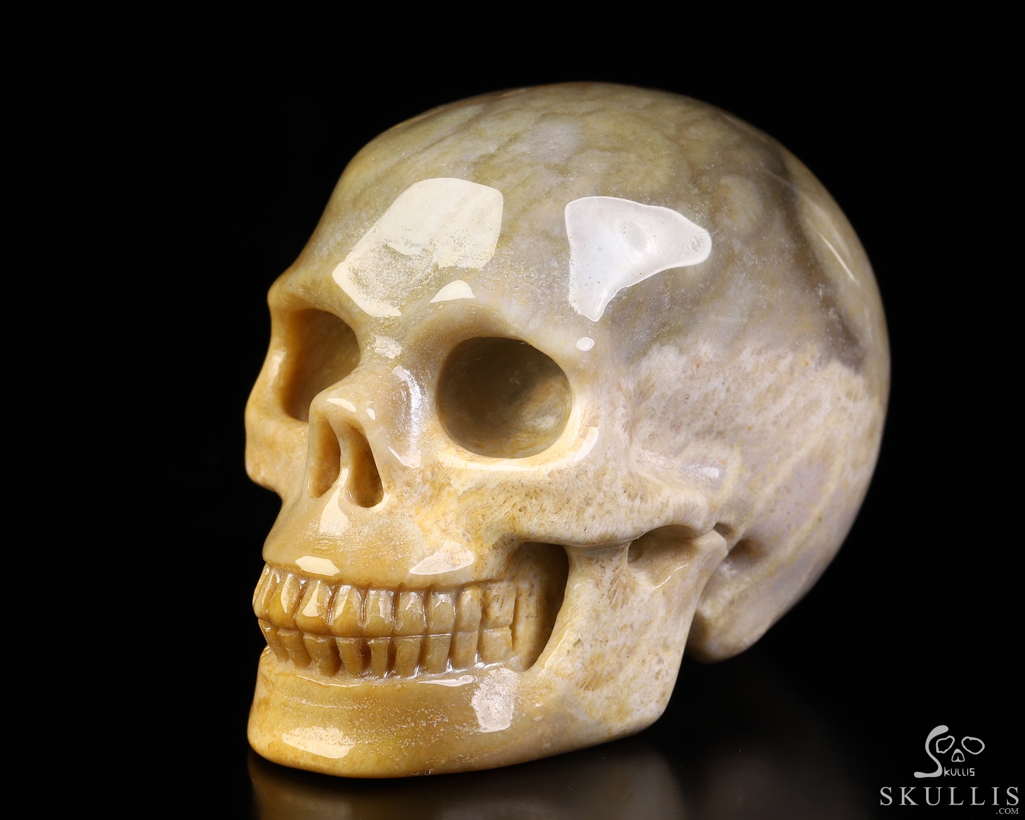 2.1" Coral Fossil Hand Carved Crystal Skull, Realistic, Crystal Healing 2.1" Coral Fossil Hand Carved Crystal Skull, Realistic, Crystal Healing