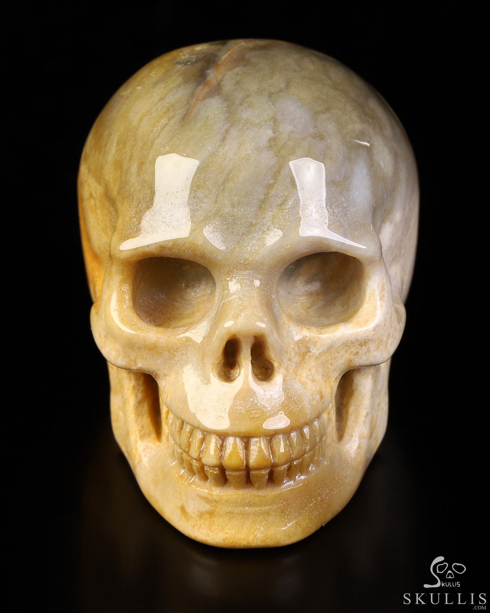 2.1" Coral Fossil Hand Carved Crystal Skull, Realistic, Crystal Healing 2.1" Coral Fossil Hand Carved Crystal Skull, Realistic, Crystal Healing