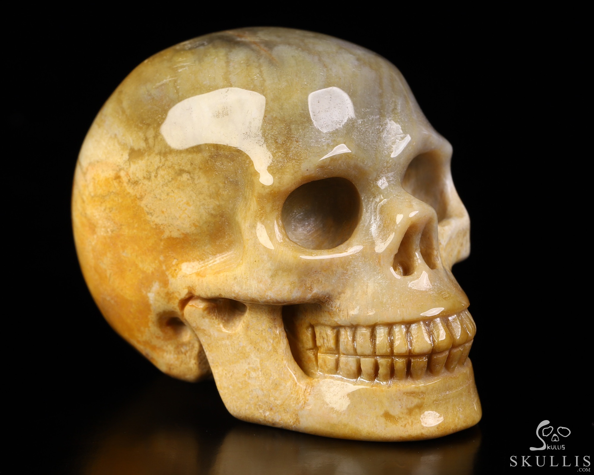 2.1" Coral Fossil Hand Carved Crystal Skull, Realistic, Crystal Healing 2.1" Coral Fossil Hand Carved Crystal Skull, Realistic, Crystal Healing