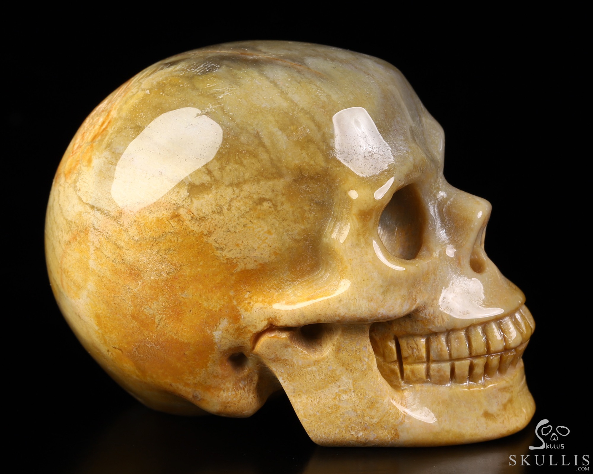 2.1" Coral Fossil Hand Carved Crystal Skull, Realistic, Crystal Healing 2.1" Coral Fossil Hand Carved Crystal Skull, Realistic, Crystal Healing