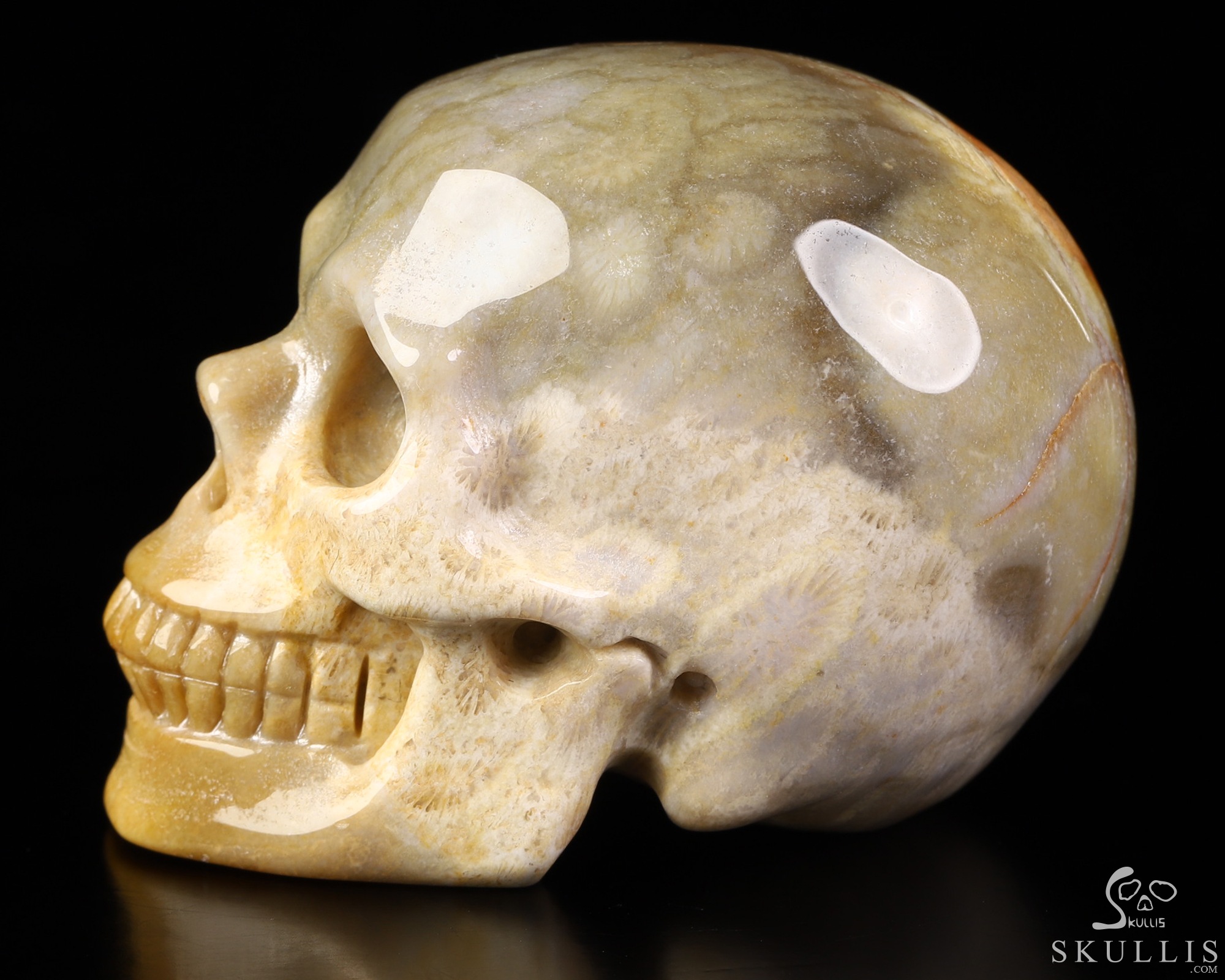 2.1" Coral Fossil Hand Carved Crystal Skull, Realistic, Crystal Healing 2.1" Coral Fossil Hand Carved Crystal Skull, Realistic, Crystal Healing