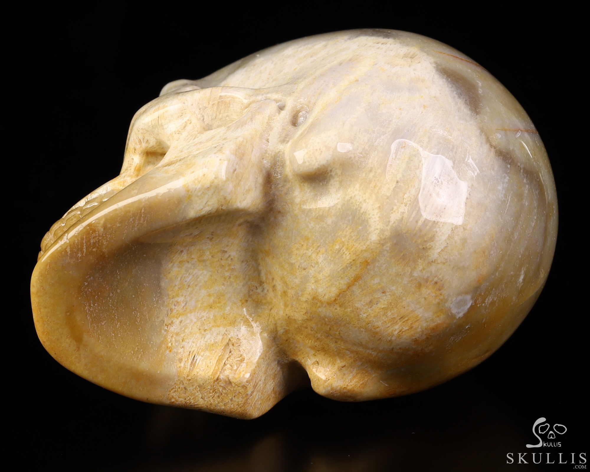 2.1" Coral Fossil Hand Carved Crystal Skull, Realistic, Crystal Healing 2.1" Coral Fossil Hand Carved Crystal Skull, Realistic, Crystal Healing