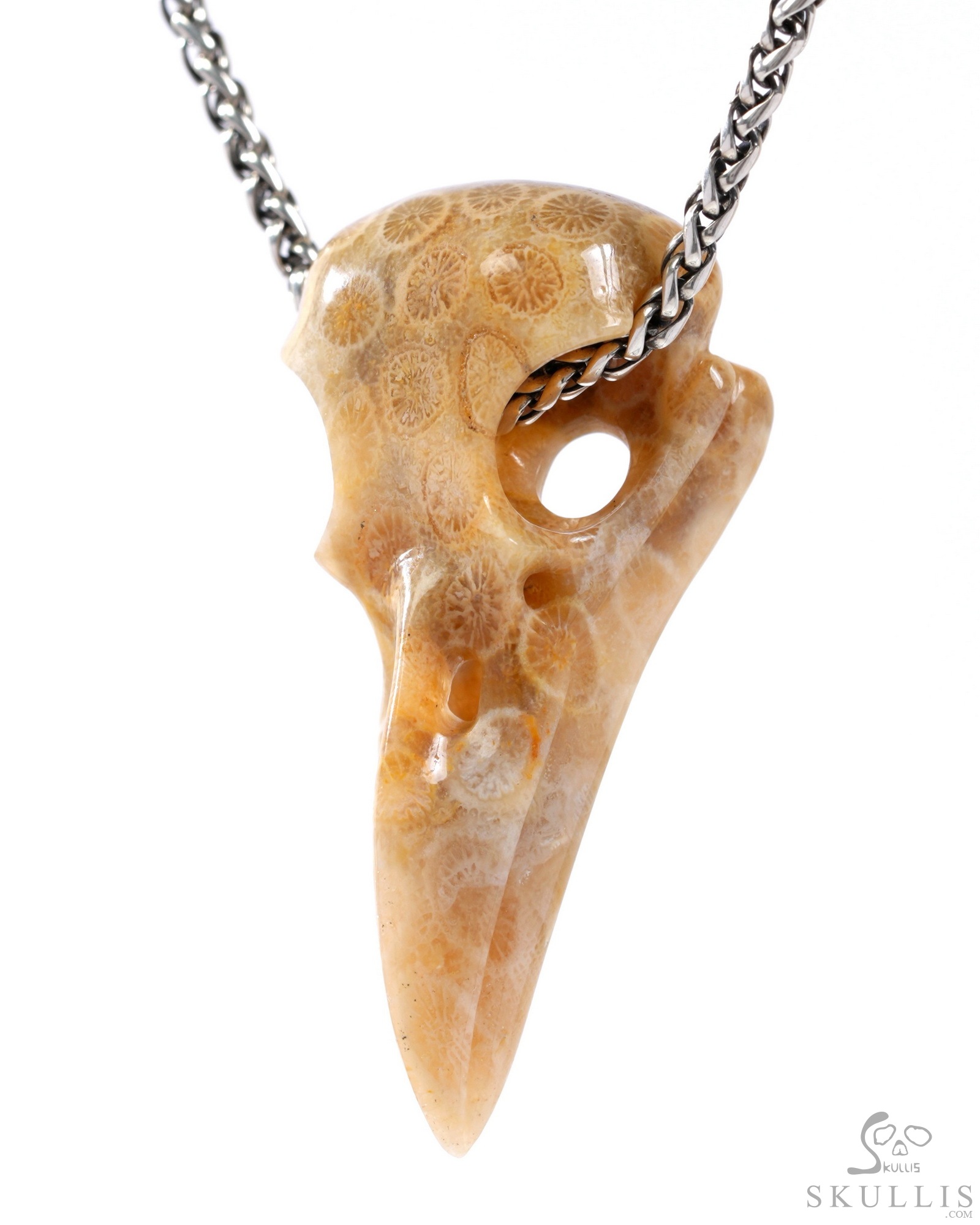 Gem Raven Skull Pendant Necklace of Coral Fossil Crystal Raven Pendant Gem Raven Skull Pendant Necklace of Coral Fossil Crystal Raven Pendant