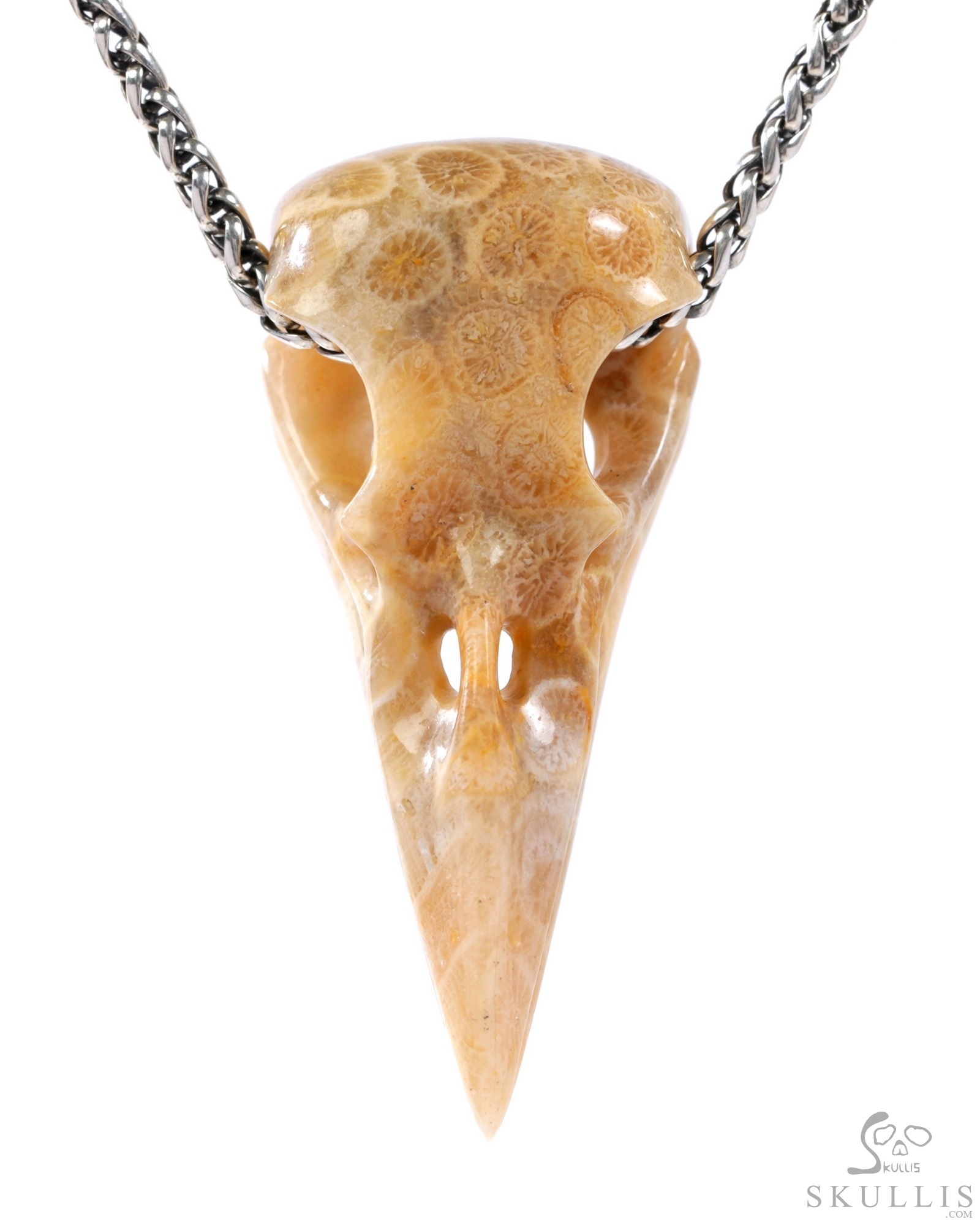 Gem Raven Skull Pendant Necklace of Coral Fossil Crystal Raven Pendant Gem Raven Skull Pendant Necklace of Coral Fossil Crystal Raven Pendant
