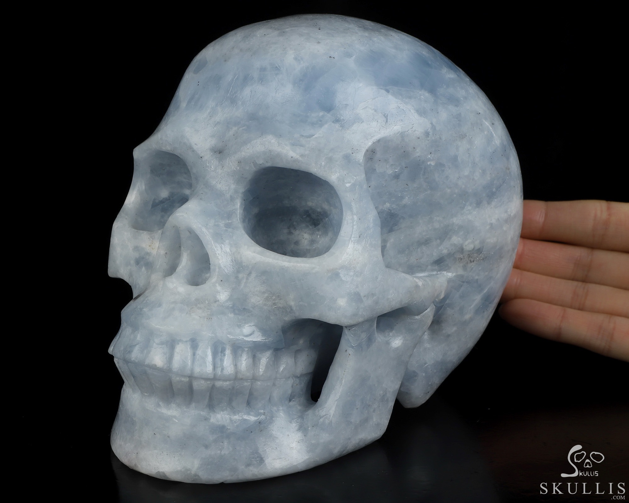 Lifesized 6.9" Blue Calcite Hand Carved Crystal Skull, Realistic, Crystal Healing Lifesized 6.9" Blue Calcite Hand Carved Crystal Skull, Realistic, Crystal Healing