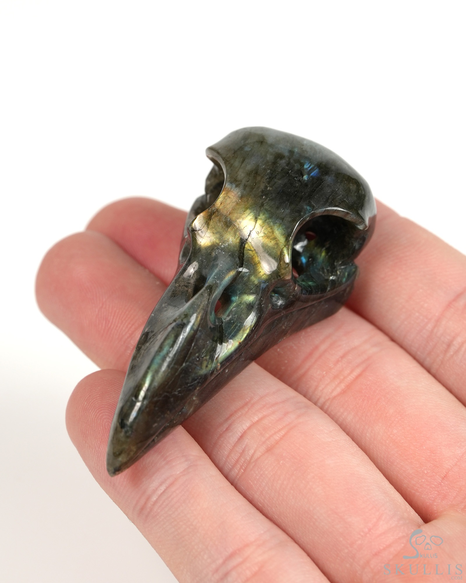 Night Pathfinder - 2.2" Labradorite Hand Carved Crystal Raven Skull Pendant, Crystal Healing Skull Jewelry, for Women & Men Night Pathfinder - 2.2" Labradorite Hand Carved Crystal Raven Skull Pendant, Crystal Healing Skull Jewelry, for Women & Men