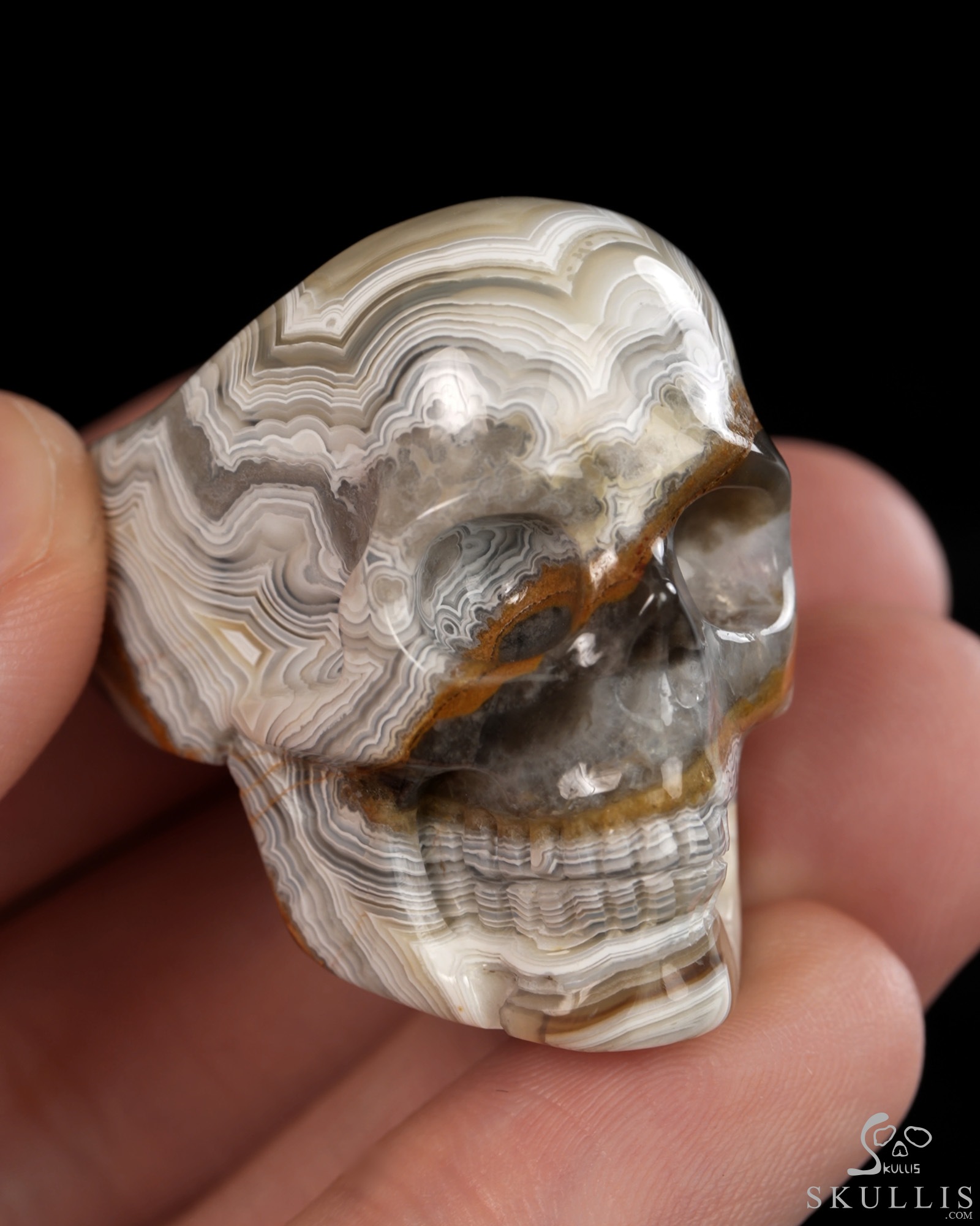 The Poetic Dreamer - US size 9 Red Crazy Lace Agate Hand Carved Skull Ring, Crystal Healing Skull Jewelry, for Women & Men The Poetic Dreamer - US size 9 Red Crazy Lace Agate Hand Carved Skull Ring, Crystal Healing Skull Jewelry, for Women & Men