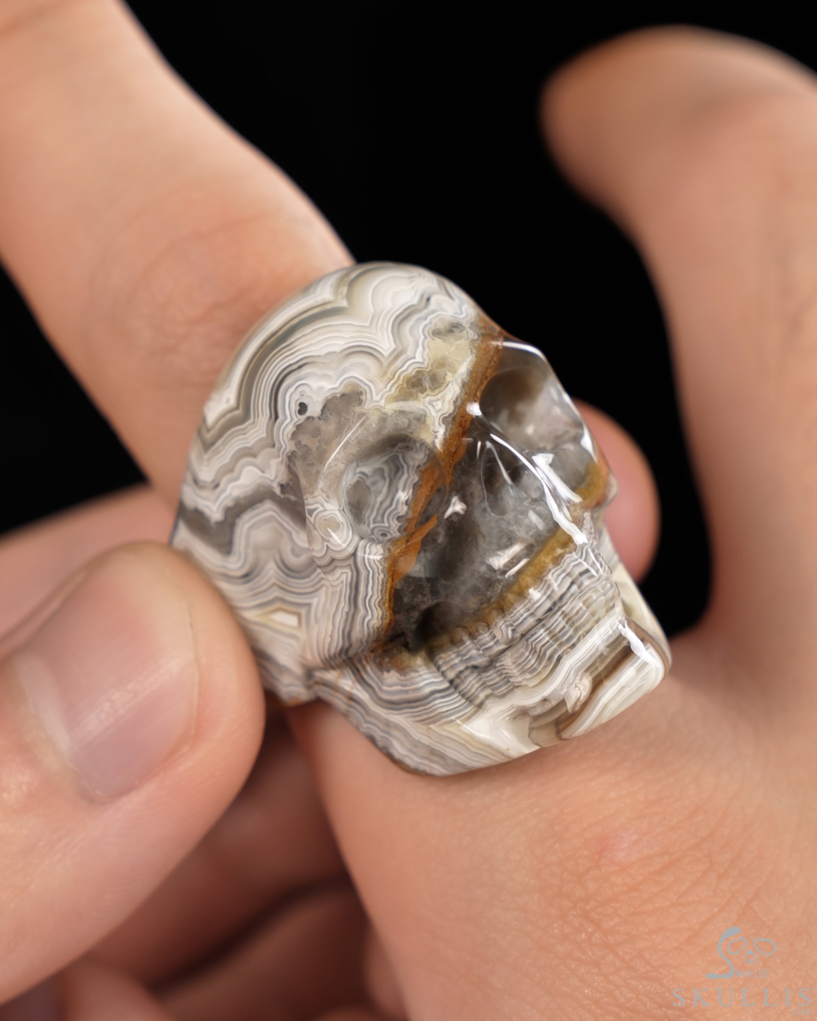 The Poetic Dreamer - US size 9 Red Crazy Lace Agate Hand Carved Skull Ring, Crystal Healing Skull Jewelry, for Women & Men The Poetic Dreamer - US size 9 Red Crazy Lace Agate Hand Carved Skull Ring, Crystal Healing Skull Jewelry, for Women & Men