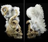 Huge 6.0" Quartz Rock Crystal Druse Carved Crystal Skull & Snake Sculpture, Crystal Healing