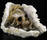 Original 9.6" Quartz Rock Crystal Druse Carved Crystal Skull & Snake Sculpture, Crystal Healing