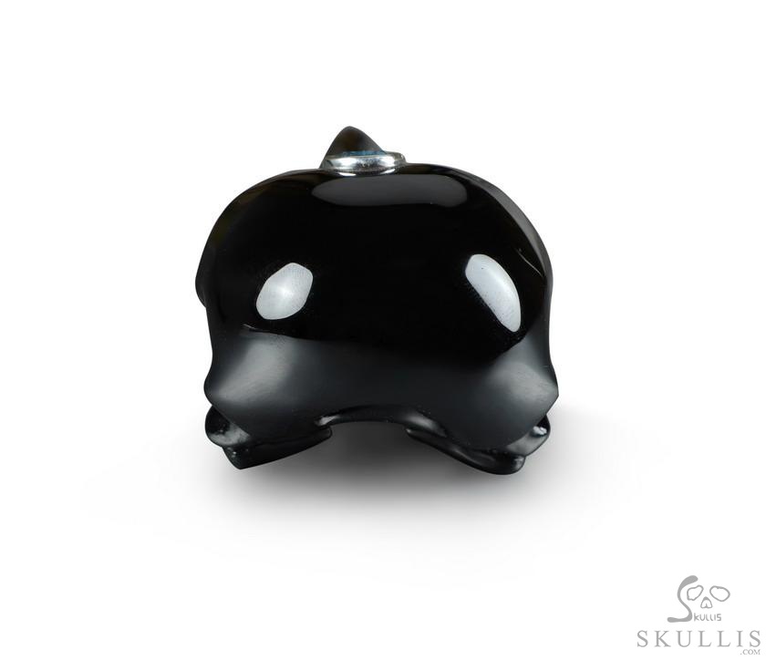 Night Pathfinder - Black Obsidian Hand Carved Crystal Raven Skull Pendant with Garnet, Crystal Healing Skull Jewelry, for Women & Men Night Pathfinder - Black Obsidian Hand Carved Crystal Raven Skull Pendant with Garnet, Crystal Healing Skull Jewelry, for Women & Men