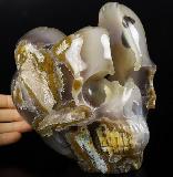 Lifesized 6.2" Agate Geode Carved Crystal Skull, Crystal Healing