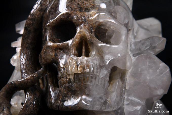 Dec 23, 2014 ACSAD (A Crystal Skull a Day) - Knowledge, Wisdom, and Enlightenment - Quartz Rock Crystal Druse Carved Crystal Skull with Snakes with Green Garnet Eyes and 92.5 Silver Tongues Sculpture Dec 23, 2014 ACSAD (A Crystal Skull a Day) - Knowledge, Wisdom, and Enlightenment - Quartz Rock Crystal Druse Carved Crystal Skull with Snakes with Green Garnet Eyes and 92.5 Silver Tongues Sculpture