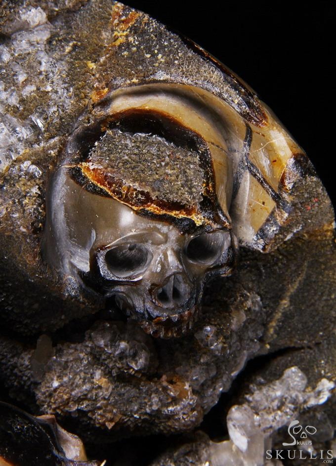 Titan 10.0" Dragon Septarian Stone Carved Crystal Skulls Sculpture, Ruby and Green Garnet Eyes Titan 10.0" Dragon Septarian Stone Carved Crystal Skulls Sculpture, Ruby and Green Garnet Eyes