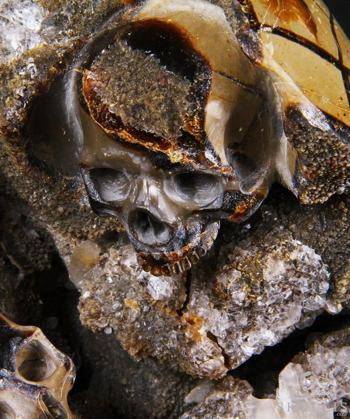 Titan 10.0" Dragon Septarian Stone Carved Crystal Skulls Sculpture, Ruby and Green Garnet Eyes Titan 10.0" Dragon Septarian Stone Carved Crystal Skulls Sculpture, Ruby and Green Garnet Eyes