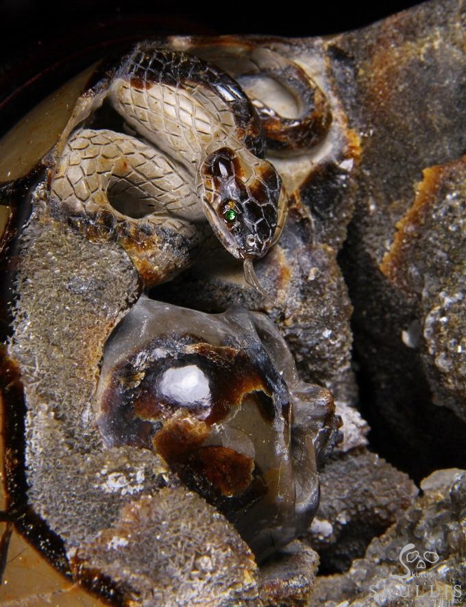 Titan 10.0" Dragon Septarian Stone Carved Crystal Skulls Sculpture, Ruby and Green Garnet Eyes Titan 10.0" Dragon Septarian Stone Carved Crystal Skulls Sculpture, Ruby and Green Garnet Eyes