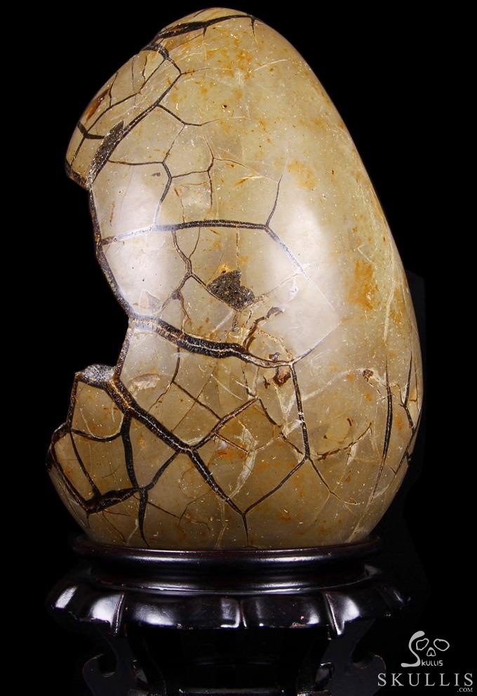 Titan 10.0" Dragon Septarian Stone Carved Crystal Skulls Sculpture, Ruby and Green Garnet Eyes Titan 10.0" Dragon Septarian Stone Carved Crystal Skulls Sculpture, Ruby and Green Garnet Eyes
