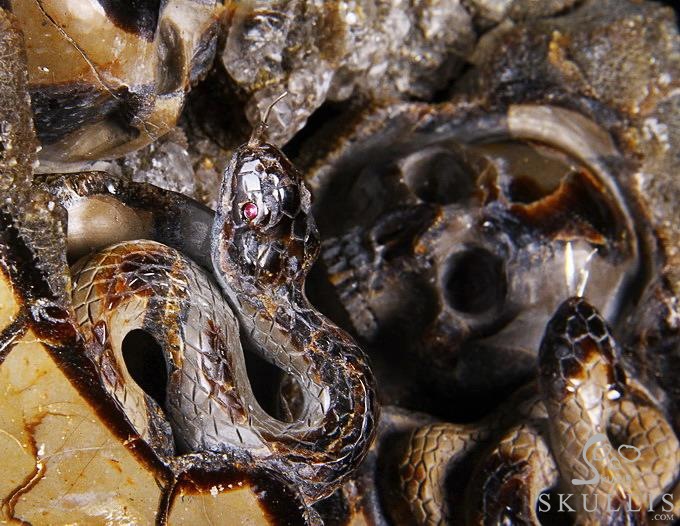 Titan 10.0" Dragon Septarian Stone Carved Crystal Skulls Sculpture, Ruby and Green Garnet Eyes Titan 10.0" Dragon Septarian Stone Carved Crystal Skulls Sculpture, Ruby and Green Garnet Eyes