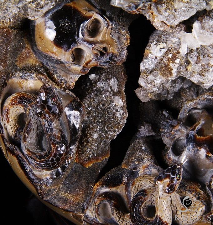 Titan 10.0" Dragon Septarian Stone Carved Crystal Skulls Sculpture, Ruby and Green Garnet Eyes Titan 10.0" Dragon Septarian Stone Carved Crystal Skulls Sculpture, Ruby and Green Garnet Eyes