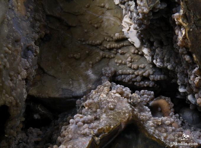 Stunning Unique Geode Giant 16.9" DINOSAUR EGG AGATE Carved Crystal Skull Stunning Unique Geode Giant 16.9" DINOSAUR EGG AGATE Carved Crystal Skull