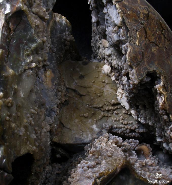 Stunning Unique Geode Giant 16.9" DINOSAUR EGG AGATE Carved Crystal Skull Stunning Unique Geode Giant 16.9" DINOSAUR EGG AGATE Carved Crystal Skull