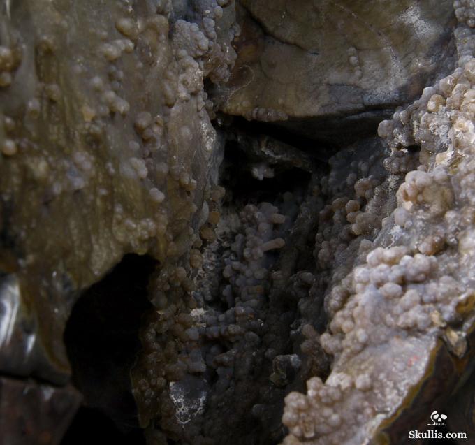 Stunning Unique Geode Giant 16.9" DINOSAUR EGG AGATE Carved Crystal Skull Stunning Unique Geode Giant 16.9" DINOSAUR EGG AGATE Carved Crystal Skull