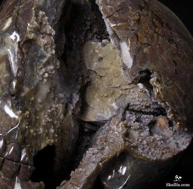 Stunning Unique Geode Giant 16.9" DINOSAUR EGG AGATE Carved Crystal Skull Stunning Unique Geode Giant 16.9" DINOSAUR EGG AGATE Carved Crystal Skull