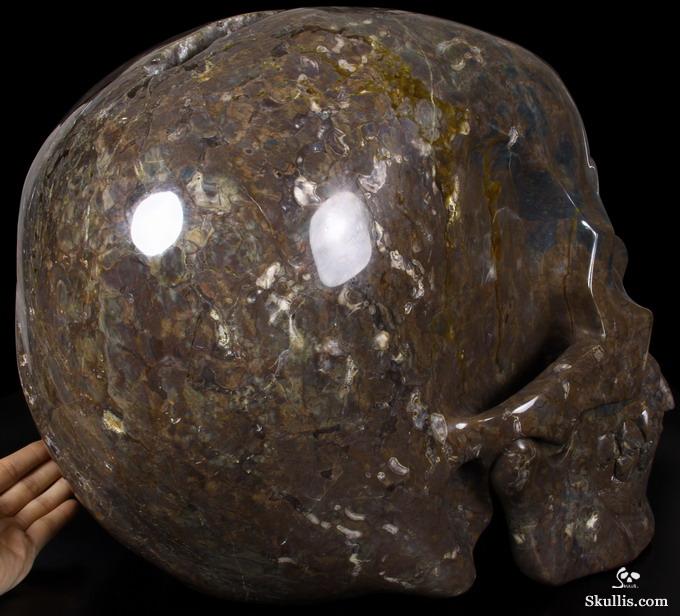 Stunning Unique Geode Giant 16.9" DINOSAUR EGG AGATE Carved Crystal Skull Stunning Unique Geode Giant 16.9" DINOSAUR EGG AGATE Carved Crystal Skull