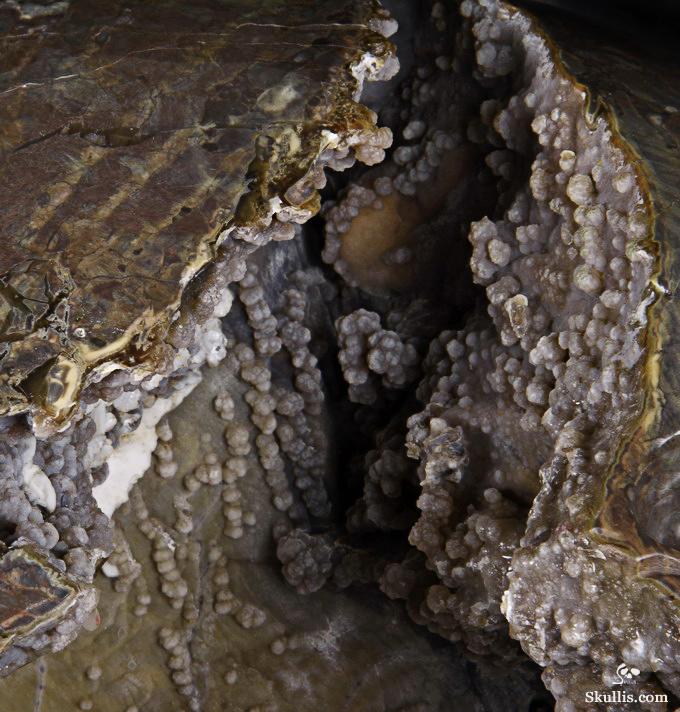 Stunning Unique Geode Giant 16.9" DINOSAUR EGG AGATE Carved Crystal Skull Stunning Unique Geode Giant 16.9" DINOSAUR EGG AGATE Carved Crystal Skull