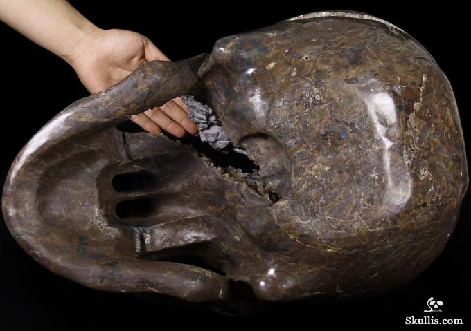 Stunning Unique Geode Giant 16.9" DINOSAUR EGG AGATE Carved Crystal Skull Stunning Unique Geode Giant 16.9" DINOSAUR EGG AGATE Carved Crystal Skull