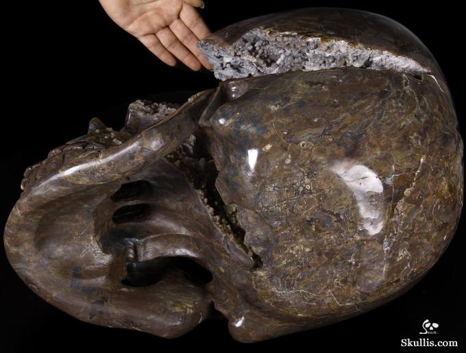 Stunning Unique Geode Giant 16.9" DINOSAUR EGG AGATE Carved Crystal Skull Stunning Unique Geode Giant 16.9" DINOSAUR EGG AGATE Carved Crystal Skull
