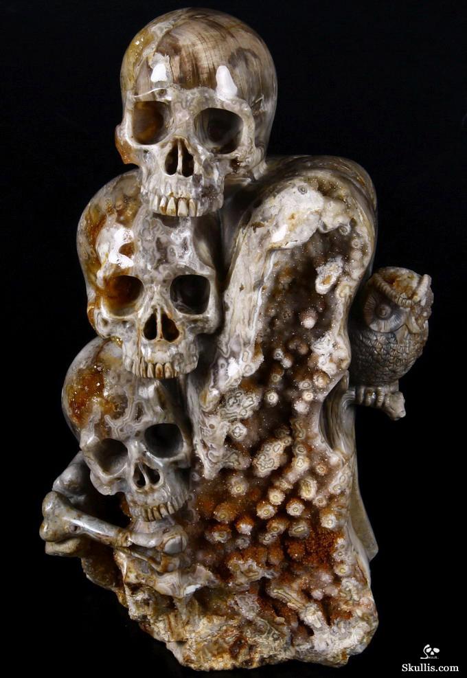 Feb 12, 2015 ACSAD (A Crystal Skull a Day) - Wisdom Through Experience - Petrified Wood Carved Crystal Skulls with Owl and Bones Sculpture Feb 12, 2015 ACSAD (A Crystal Skull a Day) - Wisdom Through Experience - Petrified Wood Carved Crystal Skulls with Owl and Bones Sculpture